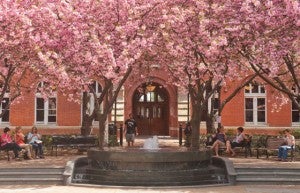 Georgetown Spring