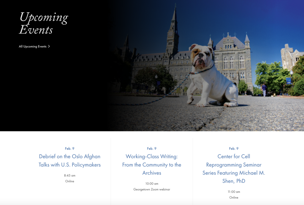 The events block with three events listed a a featured image of Jack the Bulldog.
