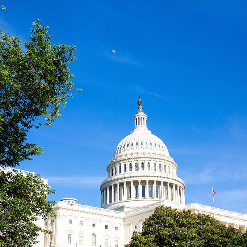 The Capitol building