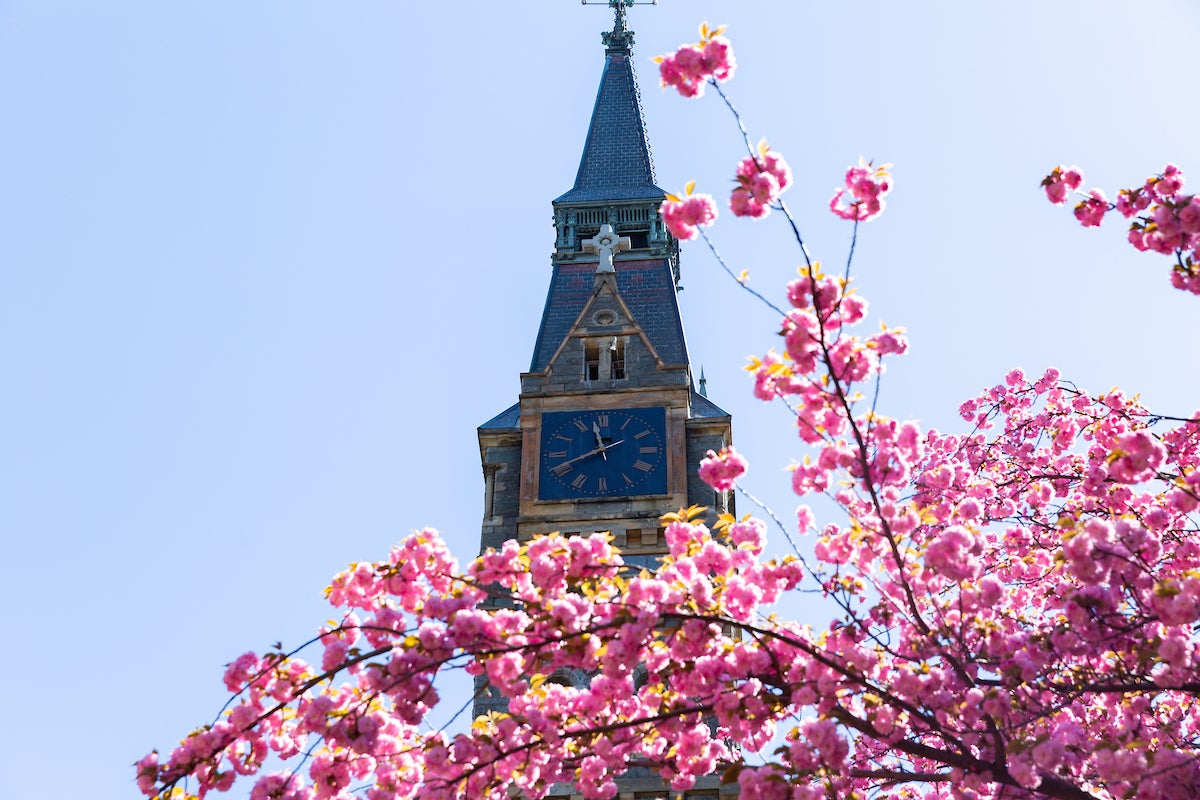 Healy Clock Tower in the spring. A pink flowering tree is in front of it.