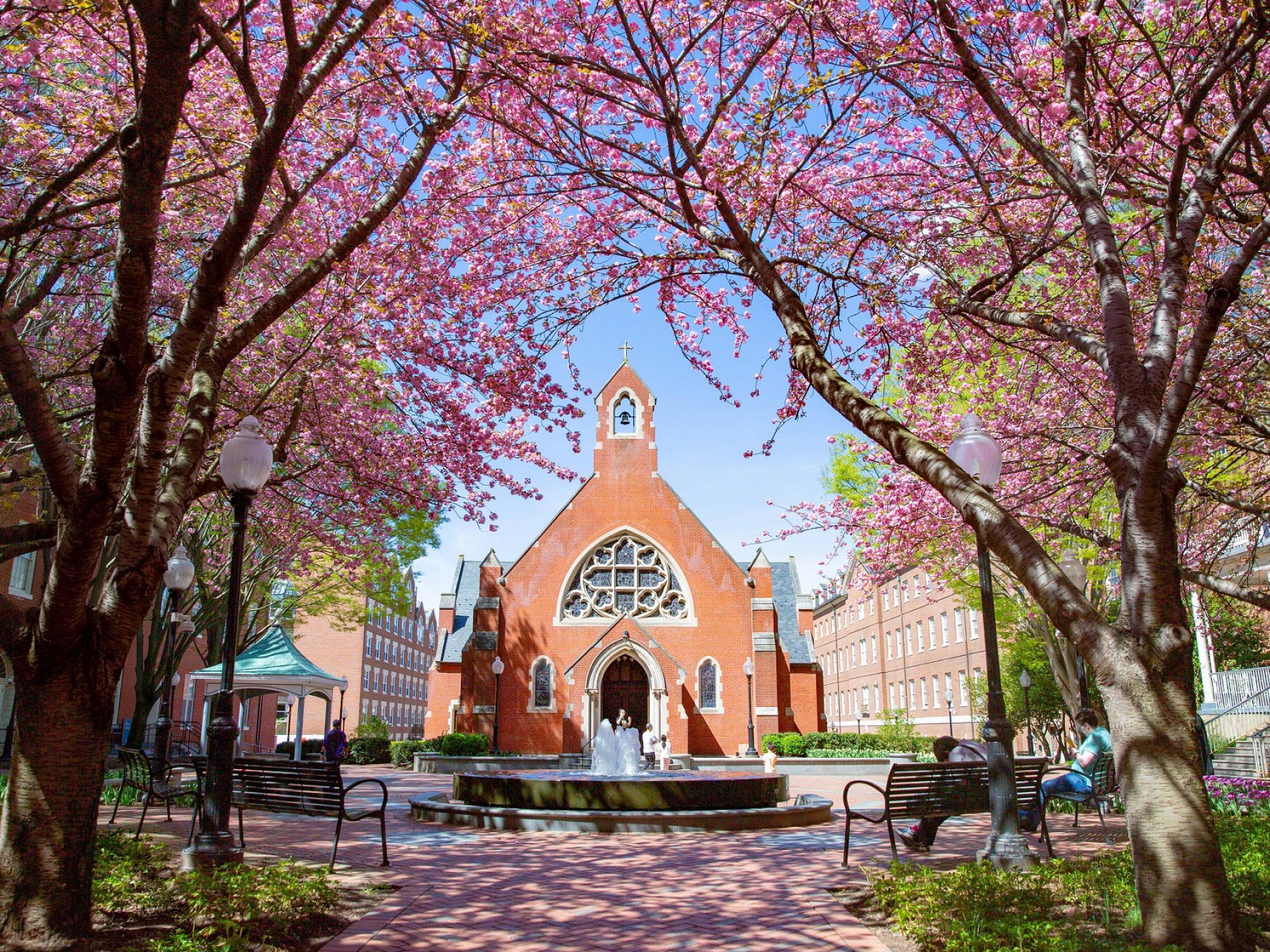 Dahlgren Quad