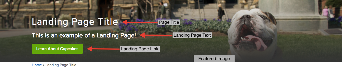 Default landing page header with red arrows pointing to labeled landing page areas 