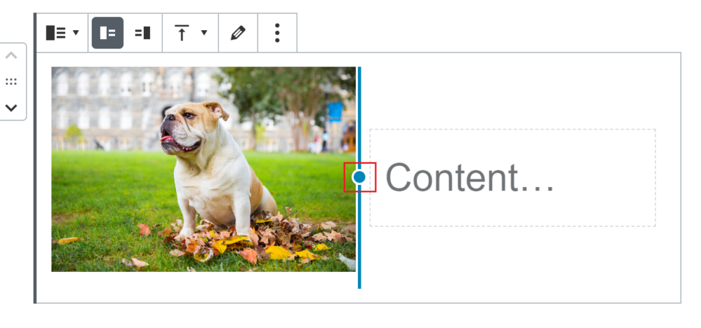 Media & Text block with an image aligned left and on the image’s right there is the adjustable blue circle outlined in red.
