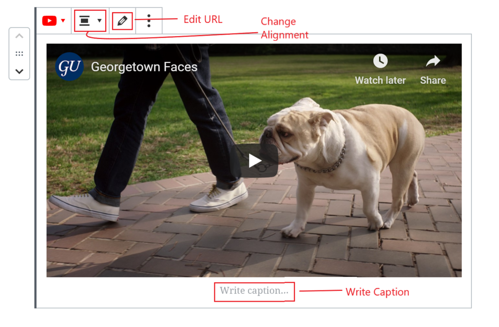An embedded YouTube video with the Edit URL option, Change Alignment option, and the empty caption slot are all outlined in red.
