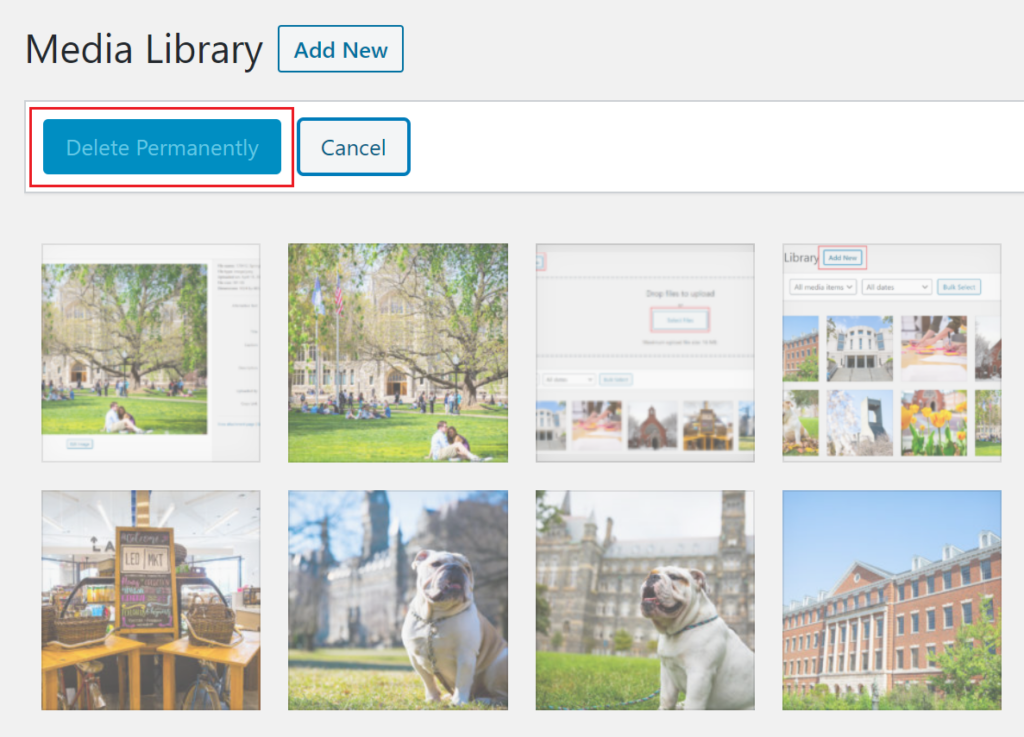 View of the bulk select option inMedia Library in grid view.