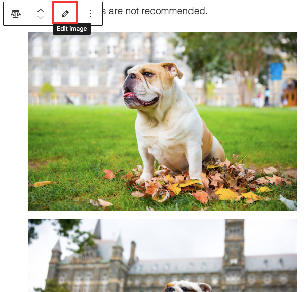 The Photo Gallery block’s edit image setting is outlined in red.