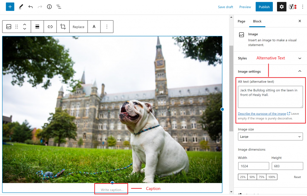 The caption text box underneath the uploaded image and the alternative text box that appears in the block’s editor are both outlined in red.