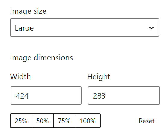 View of image size options in the setting’s editor.