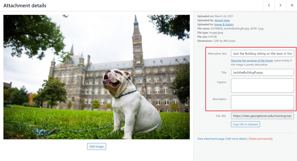 An image in the media library’s title, caption, alternative text, and description fields are all outlined in red.
