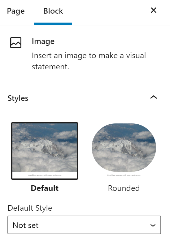 View of the different image styles in the image block’s settings.