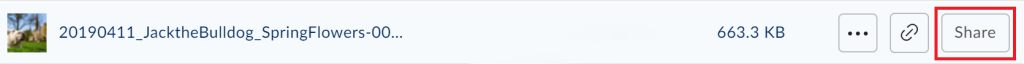 View of a file in Box with the Share button outlined in red.