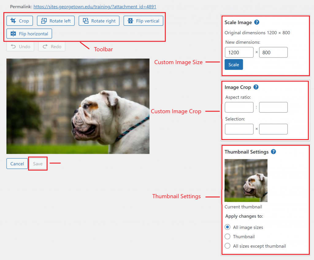 The Media Editor with the Toolbar, Custom Image size, Custom Image Crop, Thumbnail Settings and Save highlighted.